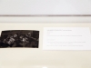 Post Communiqué by HOMECOMING! Committee at the Dallas Museum of Art, 2013 (photo 47)